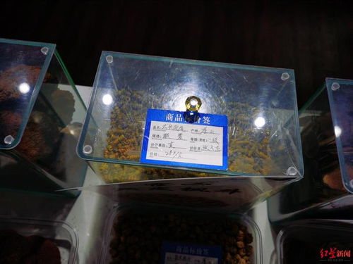 服務(wù)區(qū)高價(jià)鹿茸鹿鞭引爭(zhēng)議，高速公司表態(tài)嚴(yán)查整改